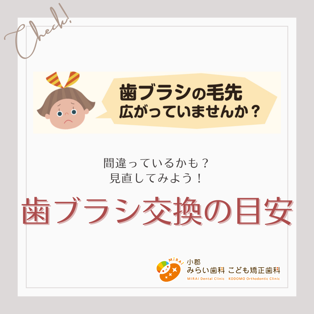 歯ブラシの交換時期🦷